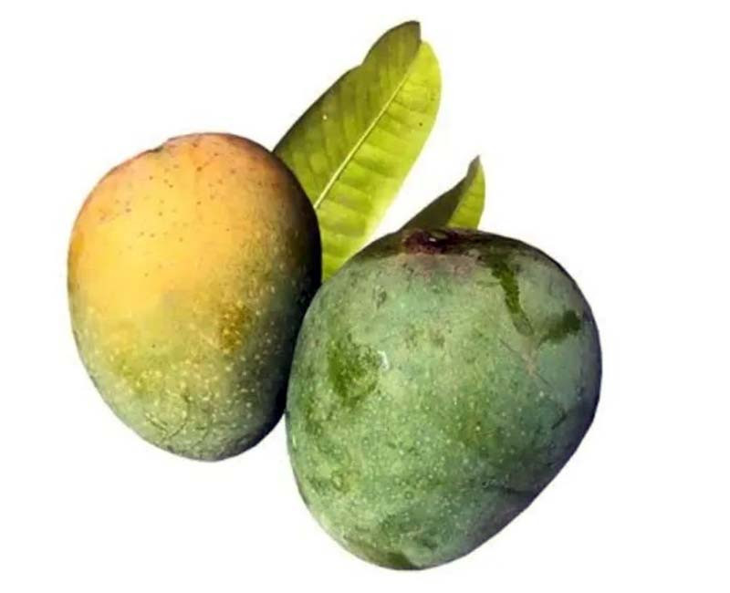 Mango Himsagor (5kg Box)